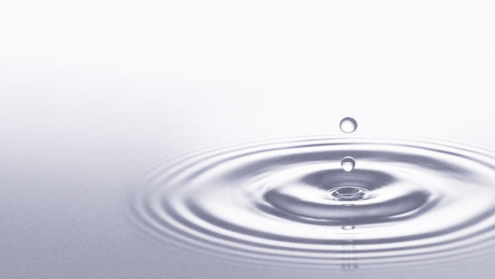 Conseil en transformation